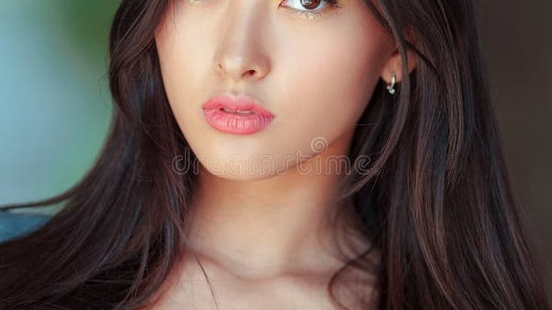 萌宠治愈系：猫咪日常